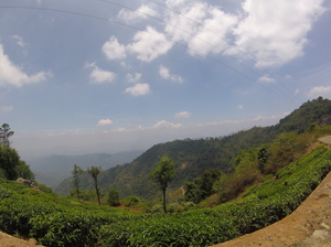 What I found on the other side of Nilgiris?
