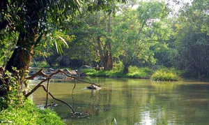 Kuruvadweep - A River Island