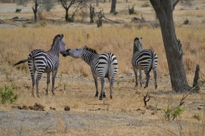 3days / 2 nights trip Tanzania