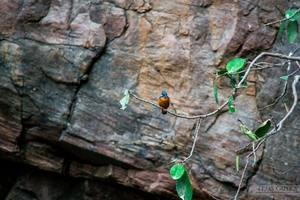 Trip to the Tiger abode: Ranthambore National Park