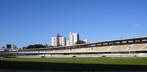 Natal, Brazil : A Coastal Paradise