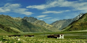 9 Reasons Why We Loved Ladakh