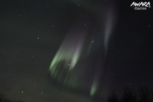 I Saw The Northern Lights Before It Became Cool