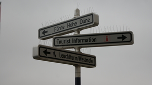 Journey to Rostock - Germany : a 11th century Marvel