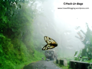185 Cities Across India and Still a Long Journey to go
