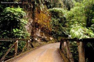 Sikkim Diaries-I The Road North