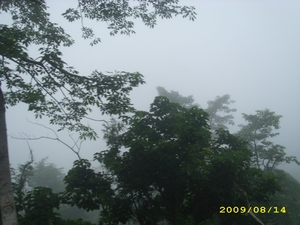 A Misty Trip: Through Dharamshala, Palampur & Kang