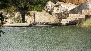 Ranthambhore National Park
