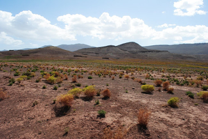The Roads Less Travelled in Morocco