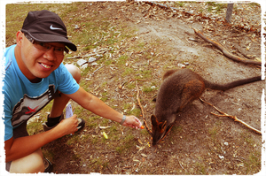 Australia : A Slice of History and Nature