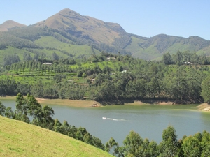 Lush Green Kerala