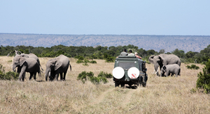 Ultimate Kenyan Safari 6 Nights / 7 Days, starting from ` 119,990 /- per person