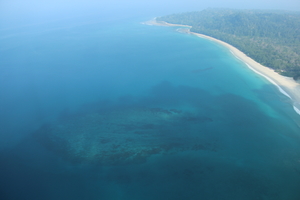 Havelock: Tropical Paradise