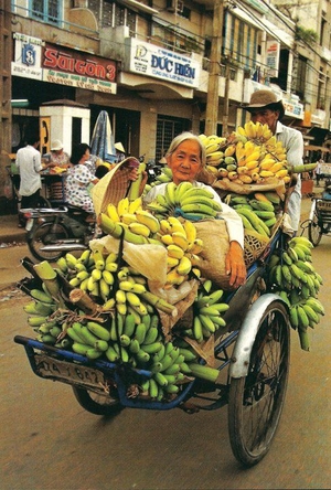 VIETNAM: THE LAND YOU NEVER KNEW