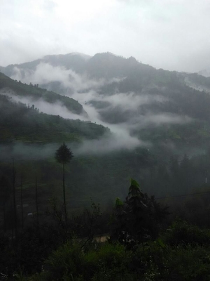 A monsoon treat- Shimla