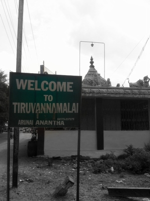 Tryst with Tiruvannamalai