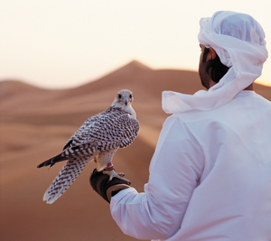 Insider’s Guide to Abu Dhabi from a Local’s Perspective