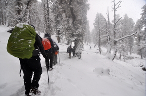 Climbing Kedarkantha