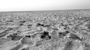The desert with white beauty called Rann Of Kutch