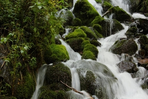 Trek to Kheer Ganga