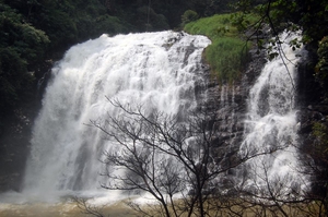 Why Coorg keeps calling me back