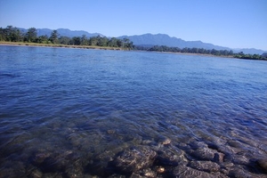 Of rivers, rhinos and rum in Assam