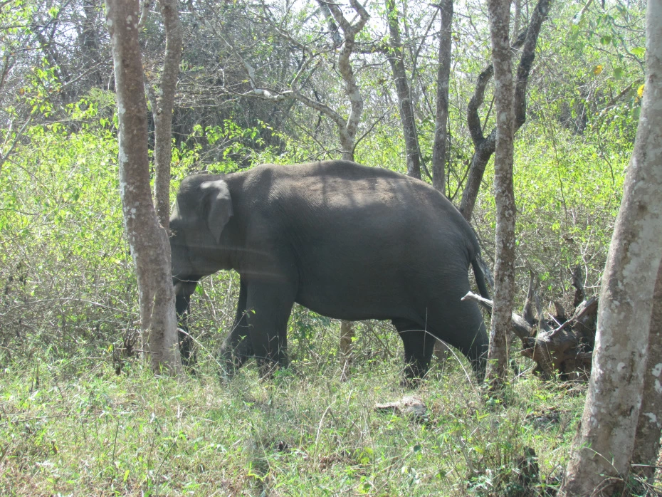 Photo of Wonderful Wayanad!