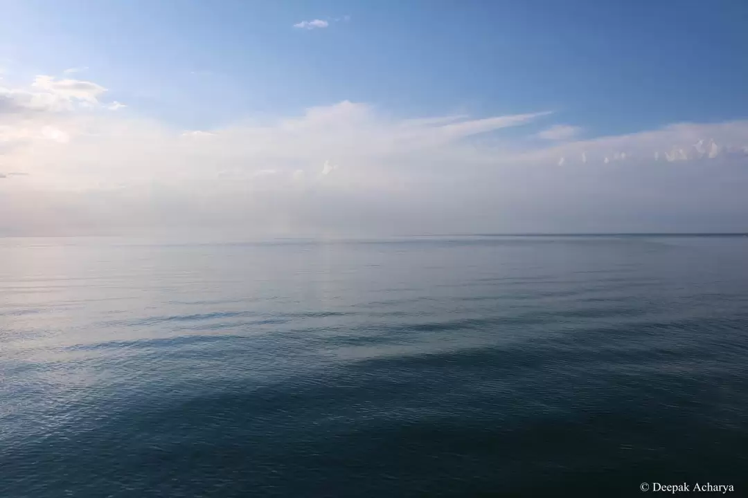 Photo of Pure, Raw & Unique; 