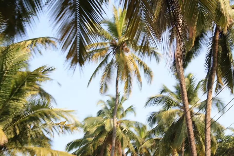 Photo of A long weekend in Go
