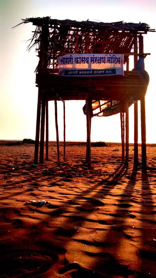 Photo of Charming Velas