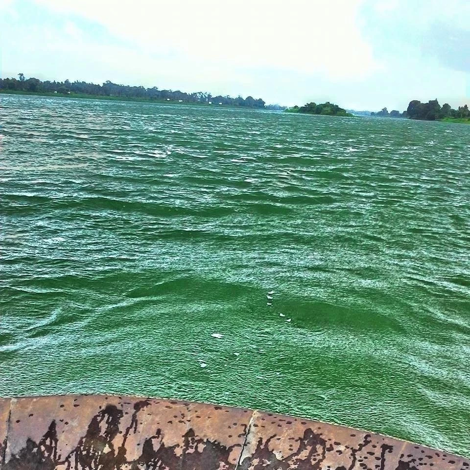 Photo of The Western Ghats of