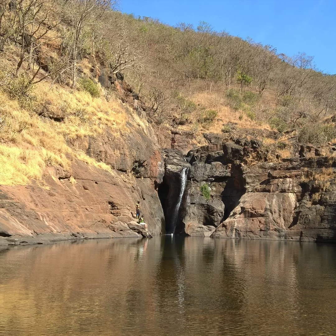 Photo of Blue Green Exotica C