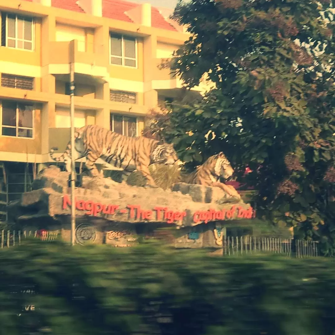 Photo of Nagpur diaries