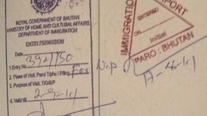 Photo of Everything You Need 