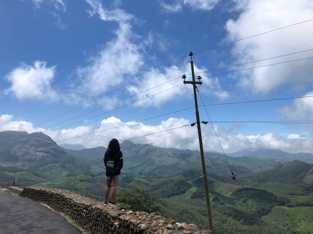 Photo of Munnar: Tea Scented 
