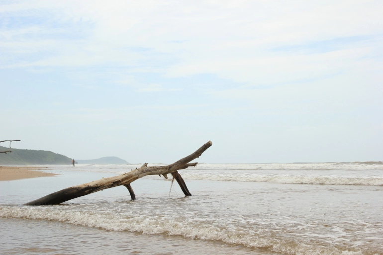 Photo of Guhagar - with Sandy