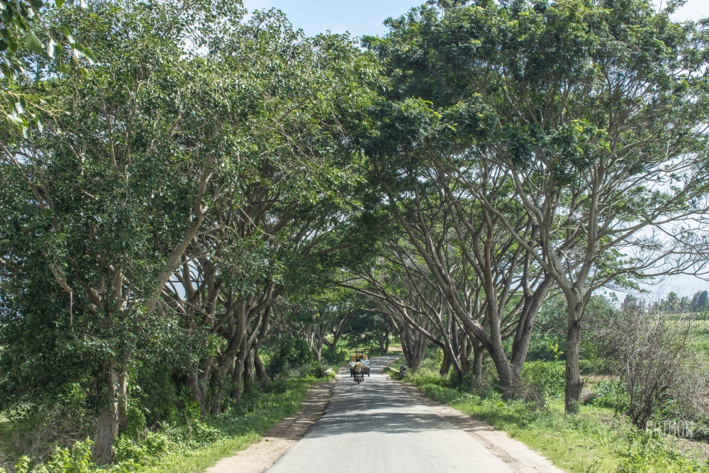 Photo of Back in Time - Shett