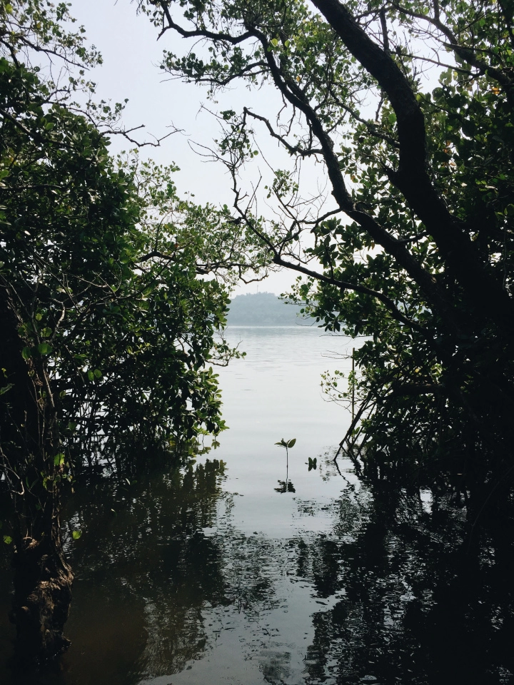 Photo of Day Trip to Chorão I