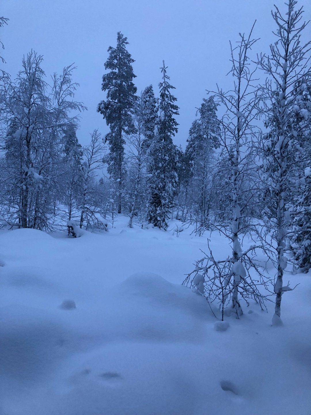 Photo of Finland For New Year