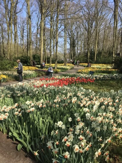 Photo of Living the Bollywood