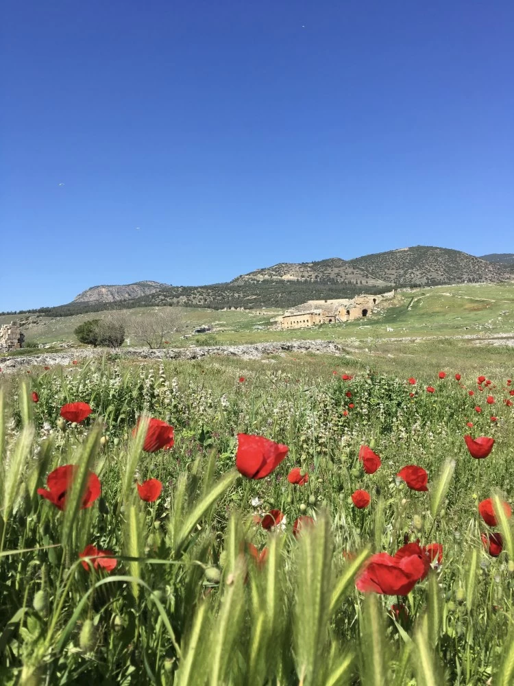 Photo of One day in Denizli -