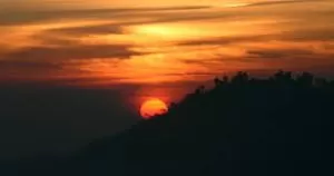Photo of Darjeeling- The Comp