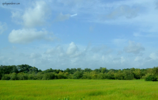 Photo of The Colours of The B