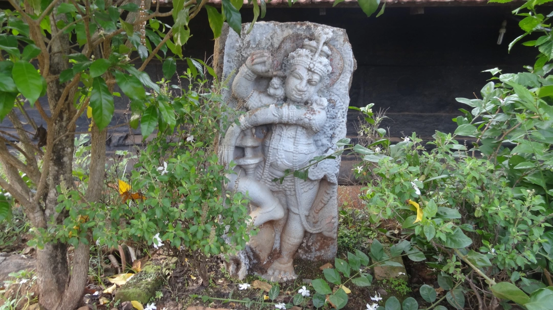 Photo of Wayanad - Thirunelli