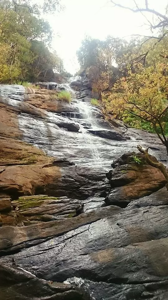 Photo of Yercaud: Jewel of th