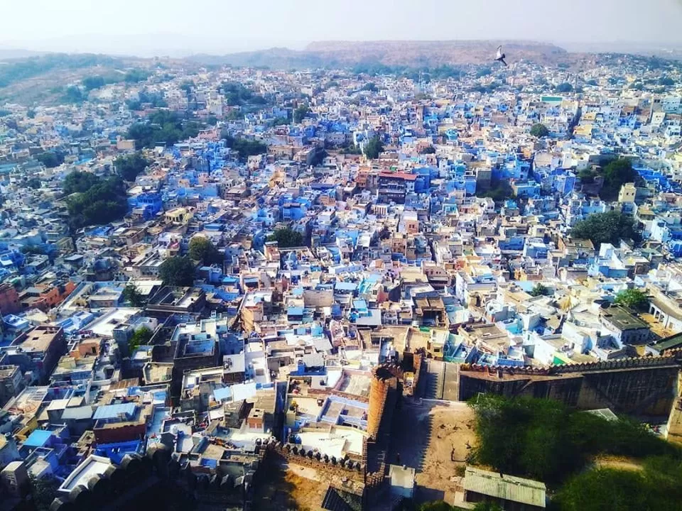 Photo of A complete guide and