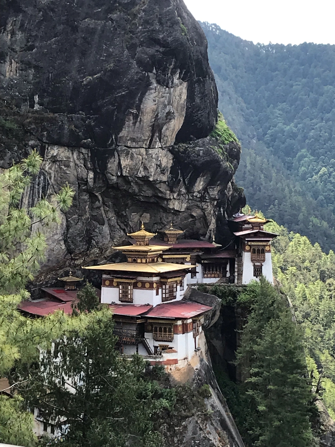Photo of UNDER THE BHUTAN SUN