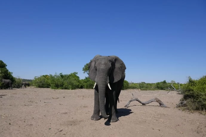 Photo of Zambia & Botswana me