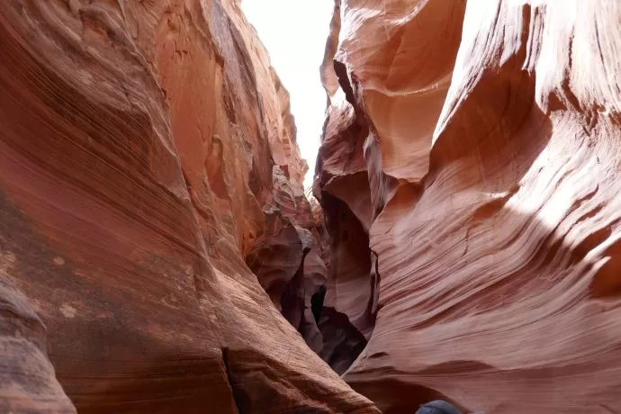 Photo of Summary of some of o