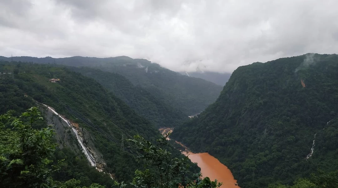 Photo of Meet the Majesty in 